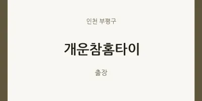 부평구 출장마사지 개운참홈타이 | 마픽