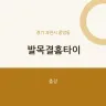 발목결홈타이