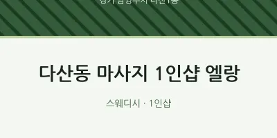 다산1동 출장마사지 홈타이 1인샵 엘랑 | 마픽