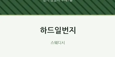 수내1동 출장마사지 홈타이 하드일번지 | 마픽