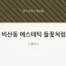 비산동 에스테틱 들꽃처럼
