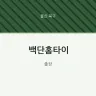 백단홈타이