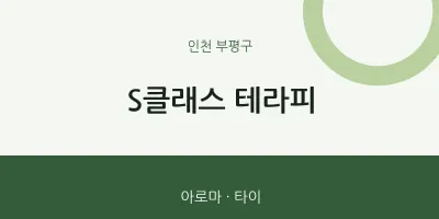 부평구 출장마사지 홈타이 S클래스 테라피 | 마픽