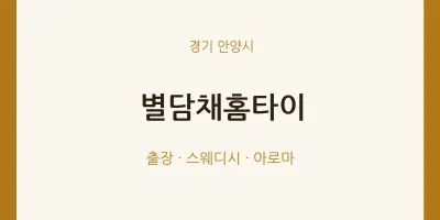 안양시 출장마사지 별담채홈타이 | 마픽