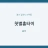 첫별홈타이