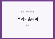 연희동 출장마사지 프리마홈타이 | 마픽