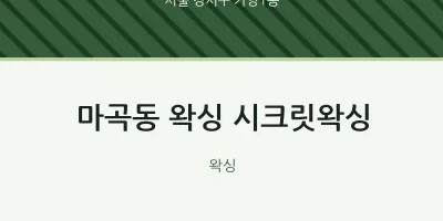 가양1동 출장마사지 홈타이 왁싱 시크릿왁싱 | 마픽