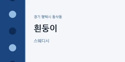 동삭동 출장마사지 홈타이 흰둥이 | 마픽