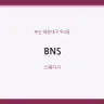 BNS