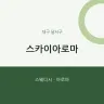스카이아로마