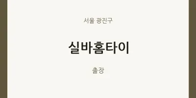 광진구 출장마사지 실바홈타이 | 마픽