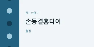 안양시 출장마사지 손등결홈타이 | 마픽