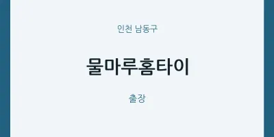 남동구 출장마사지 물마루홈타이 | 마픽