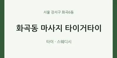화곡6동 출장마사지 홈타이 타이거타이 | 마픽