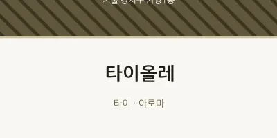 가양1동 출장마사지 홈타이 타이올레 | 마픽
