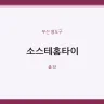 소스테홈타이