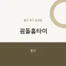 굄돌홈타이