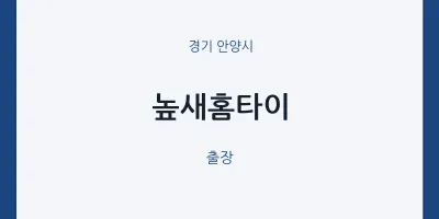 안양시 출장마사지 높새홈타이 | 마픽