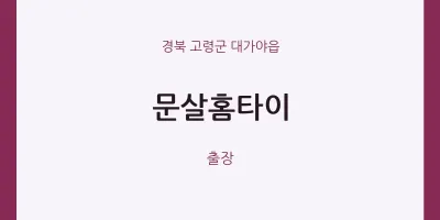 대가야읍 출장마사지 문살홈타이 | 마픽