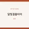 달빛결홈타이