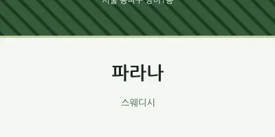 방이1동 출장마사지 홈타이 파라나 | 마픽