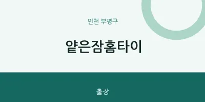 얕은잠홈타이