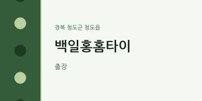 청도읍 출장마사지 백일홍홈타이 | 마픽