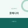 풋매니아