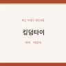 킹덤타이