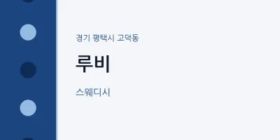 고덕동 출장마사지 홈타이 루비 | 마픽