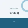 SKY타이