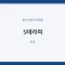 S테라피