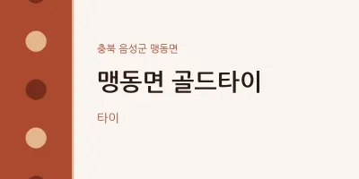 맹동면 출장마사지 홈타이 골드타이 | 마픽