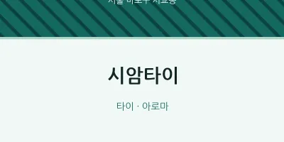 서교동 출장마사지 홈타이 시암타이 | 마픽