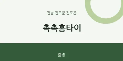 진도읍 출장마사지 촉촉홈타이 | 마픽