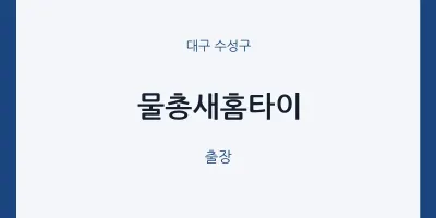수성구 출장마사지 물총새홈타이 | 마픽